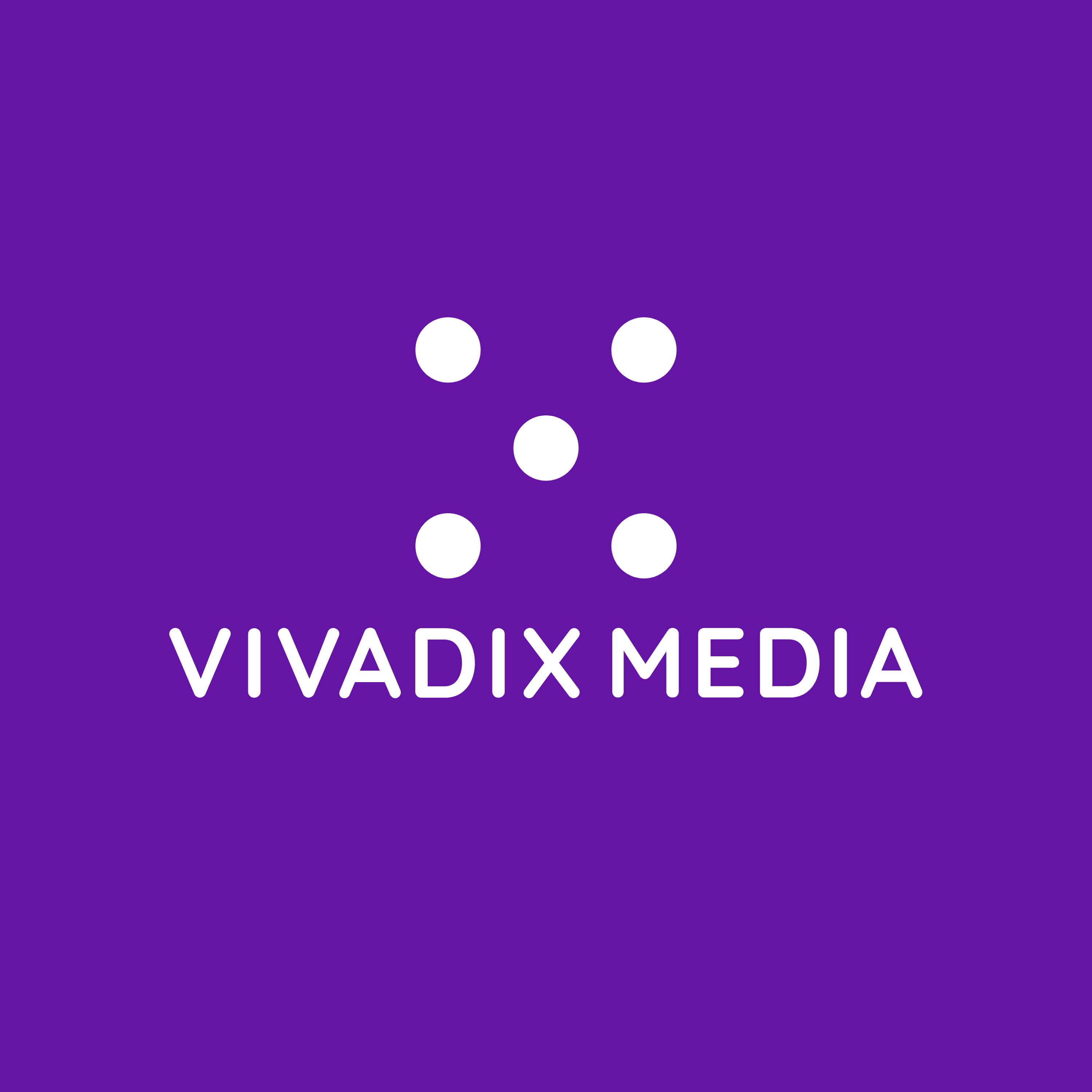 Vivadix Media
